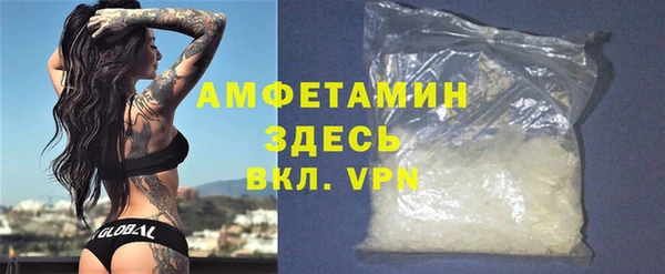молекула духа Бородино