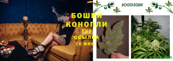 тгк Бронницы