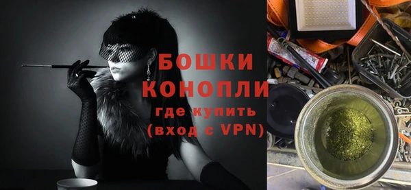 молекула духа Бородино