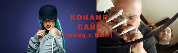 молекула духа Бородино