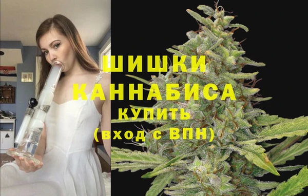 а пвп мука Богданович